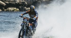 BigBold Robbie Maddison